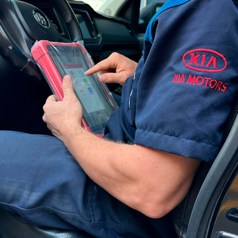 Valores amer automotriz