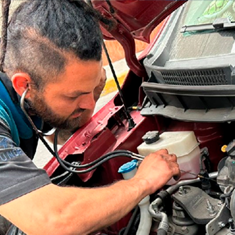 Valores amer automotriz